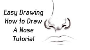How to draw a nose step by step. How To Draw Nose Easy For Beginners Learn How To Draw