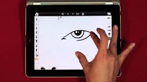 what is face chart pro you