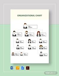 organizational chart 17 free word