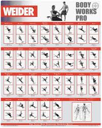 Weider Workout Chart Pdf Sport1stfuture Org