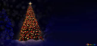 Go ahead and have a merry virtual christmas with the 49 backdrops ahead. Download Free Picture Christmas Tree Blur Right Side Background On Cc By License Free Image Stock Torange Biz Fx 68864