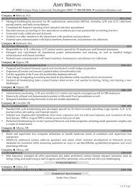 Auditing Resume Examples Resume Professional Writers