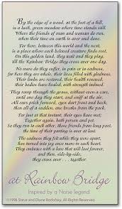 The rainbow bridge poem makes me cry. Soft Rainbow Memorial Card Smartpractice Veterinary
