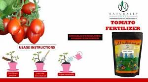 naturally green tomato fertilizer