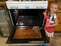 diy natural oven cleaner recipes new