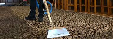 carpet cleaning sydney carpet steam