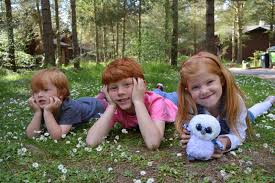Ver todas las opiniones de 11.215. How To Enjoy Whinfell Forest At Center Parcs On A Budget North East Family Fun