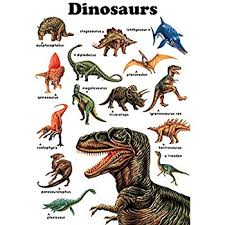 Dinosaurs Poster Tryannosaurus Rex Triceratops Stegosaurus Megalosaurus