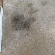 california carpet cleaning yelp