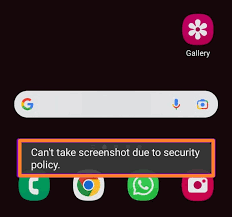 take screenshot due to security policy