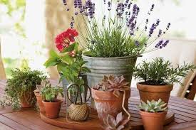 Garden Decorations Plant Pots