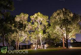 Best Trees For Garden Lighting Led