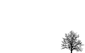 Minimalistic Simple Background Trees White 2560x1600
