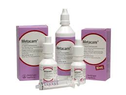 Revisiting Meloxicam Use In Cats