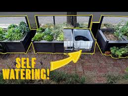 Self Watering Raised Garden Beds