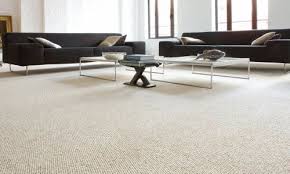 professional carpet cleaning service at