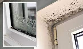 Bathroom Condensation And Mould