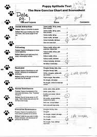 Welcome to the website of the american temperament test society, inc. Dale Puppy Aptitude Test Scoresheet Pg 1 Cascade Portuguese Water Dogs