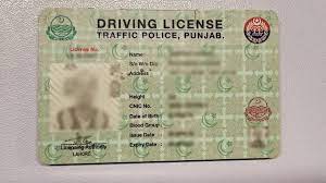punjab driving license