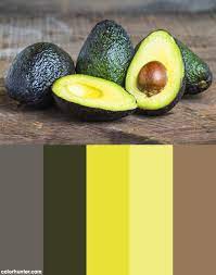 Avocado Color Scheme From Colorhunter