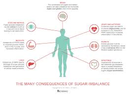 The Blood Type Diets Sugar Molecules And Metabolism