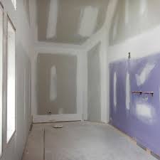 mold resistant drywall