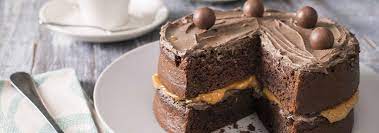 Chocolate Mayonnaise Cake Recipe South Africa gambar png