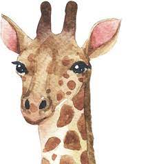 Buy Watercolour Giraffe Wall Decal