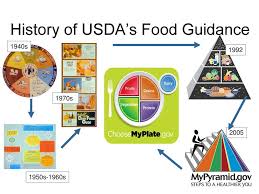 History Of Usdas Food Guidance Ppt Download