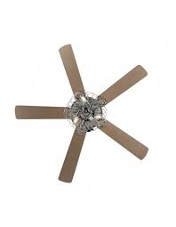 blade caged ceiling fan with remote