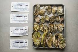 how to prep and serve raw oysters at