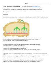 The worksheet asks students to review terms and label an image. Dna Simulation With Mutation Worksheet Pdf Name Dna Mutation Simulation U200b Access The Simulation At U200b Biol Co Dna Sim1 U200b 1 Transcribe And Course Hero