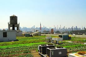 Brooklyn Grange Farmland Access Legal