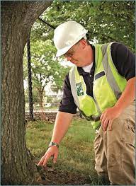 Certification workshops via zoom new classes coming in september! International Society Of Arboriculture Credentials Benefits Of Credentials