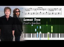 fool s garden lemon tree piano