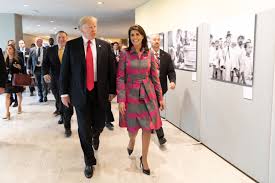 Only her parents and husband, michael haley, stood by her. How Nikki Haley Rose Through Republican Ranks