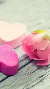 heart flower tenderness pink iphone 8