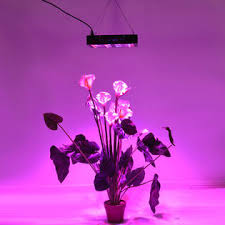 Goplus Ep23473 600w Led Grow Light Plants Lamp Full Spectrum For Indoor Plants Veg Flower Bloom