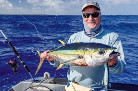 yellowfin tuna on topwater lures the