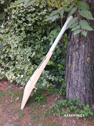 kashmir willow cricket bat