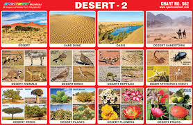 Spectrum Educational Charts Chart 562 Desert 2