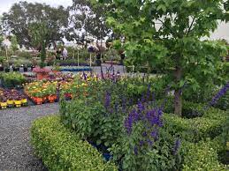 garden centres bayside council nsw