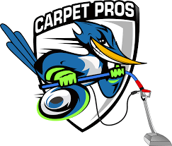 4 best carpet cleaning services lacey