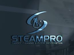 design for stero carpet cleaning