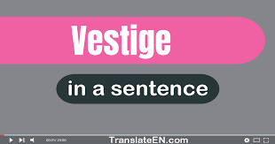 use vestige in a sentence