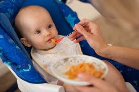 Image result for when should i introduce other meals to an infant