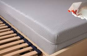how to clean and disinfect a mattress