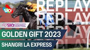 golden gift horse race 2024 tips