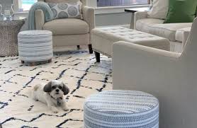 12 best navy and white area rugs under