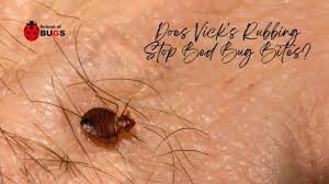 does vick s rubbing stop bed bug bites